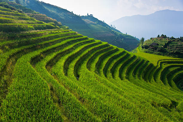 Ping'an Zhuang Village terraces